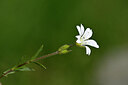 BUITEN BEELD Foto: 444635