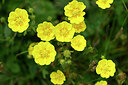 BUITEN BEELD Foto: 444641