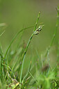 BUITEN BEELD Foto: 444642