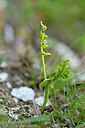 BUITEN BEELD Foto: 444651