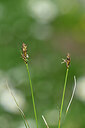BUITEN BEELD Foto: 444656