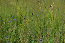 BUITEN BEELD Foto: 444664