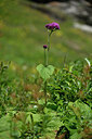 BUITEN BEELD Foto: 444669
