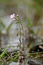 BUITEN BEELD Foto: 444672