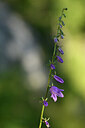 BUITEN BEELD Foto: 444675