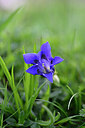 BUITEN BEELD Foto: 444677