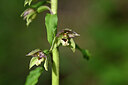 BUITEN BEELD Foto: 444681