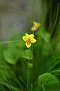 BUITEN BEELD Foto: 444682