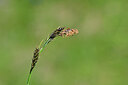 BUITEN BEELD Foto: 444683