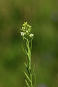 BUITEN BEELD Foto: 444684