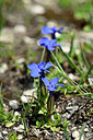BUITEN BEELD Foto: 444688