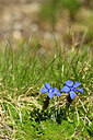 BUITEN BEELD Foto: 444691