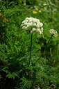 BUITEN BEELD Foto: 444693