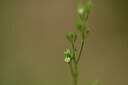 BUITEN BEELD Foto: 444695