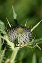 BUITEN BEELD Foto: 444698