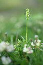 BUITEN BEELD Foto: 444699