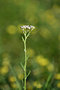 BUITEN BEELD Foto: 444707