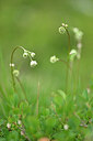 BUITEN BEELD Foto: 444708