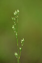 BUITEN BEELD Foto: 444709