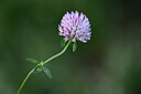 BUITEN BEELD Foto: 444710