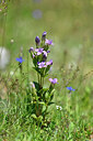 BUITEN BEELD Foto: 444711