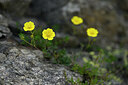 BUITEN BEELD Foto: 444714