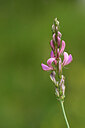 BUITEN BEELD Foto: 444715