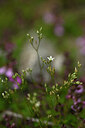 BUITEN BEELD Foto: 444716