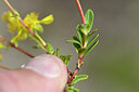 BUITEN BEELD Foto: 444718