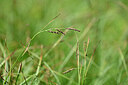 BUITEN BEELD Foto: 444722