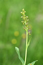 BUITEN BEELD Foto: 444723