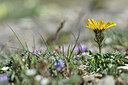 BUITEN BEELD Foto: 444724