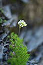 BUITEN BEELD Foto: 444726