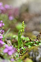 BUITEN BEELD Foto: 444728