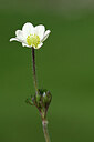 BUITEN BEELD Foto: 444729