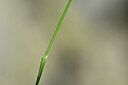 BUITEN BEELD Foto: 444730