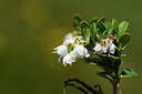BUITEN BEELD Foto: 444732