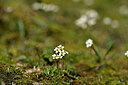 BUITEN BEELD Foto: 444734