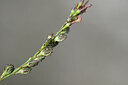 BUITEN BEELD Foto: 444735