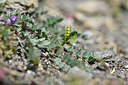 BUITEN BEELD Foto: 444739