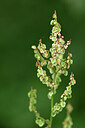 BUITEN BEELD Foto: 444741