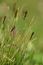 BUITEN BEELD Foto: 444743
