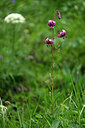 BUITEN BEELD Foto: 444745