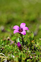 BUITEN BEELD Foto: 444749