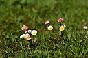 BUITEN BEELD Foto: 444751