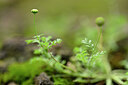 BUITEN BEELD Foto: 444753