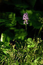 BUITEN BEELD Foto: 444754