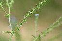 BUITEN BEELD Foto: 444755