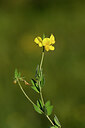 BUITEN BEELD Foto: 444760