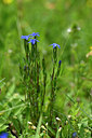 BUITEN BEELD Foto: 444763